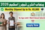 Punjab Intern Teachers Scheme 2026 – Complete Application Guide