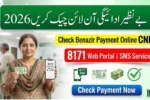 How to Check Benazir Payment Online 2026 – Complete Guide & Details